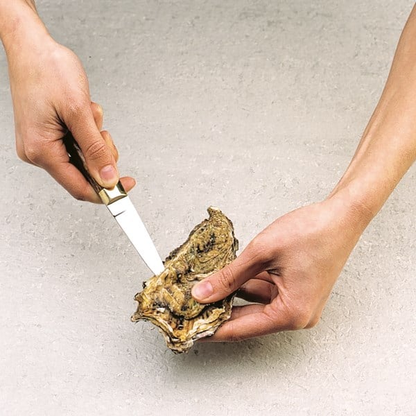 Lot de 2 lancettes à huitres