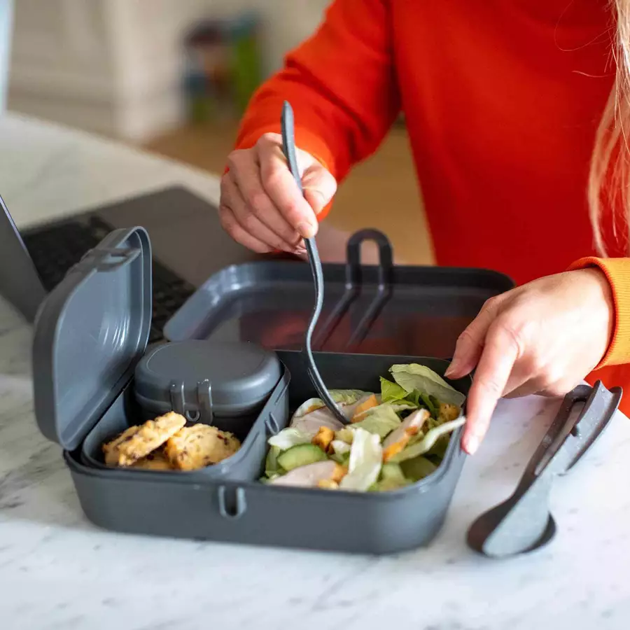 Koziol Lunchbox-Set inkl. Besteck Pascal Ready dunkelgrau