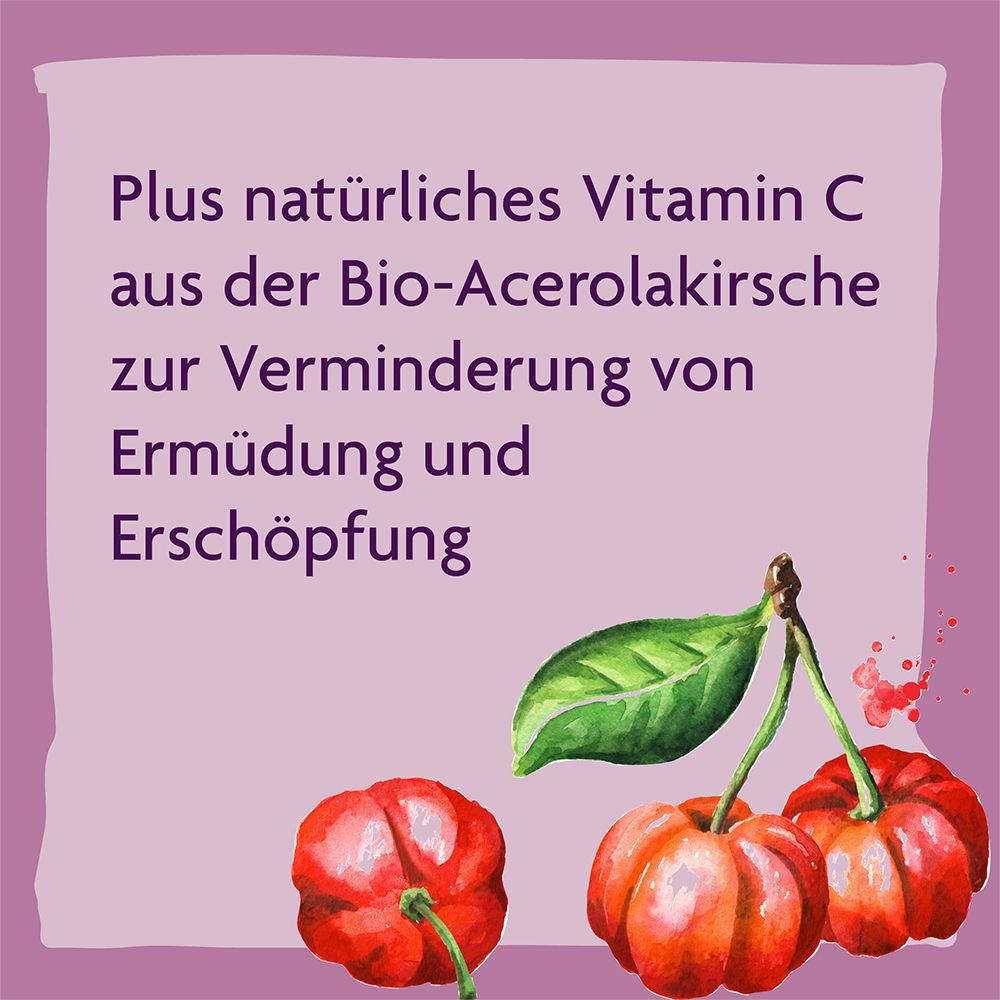Salus® Alepa® Mariendistel Bio-Leber-Tonikum