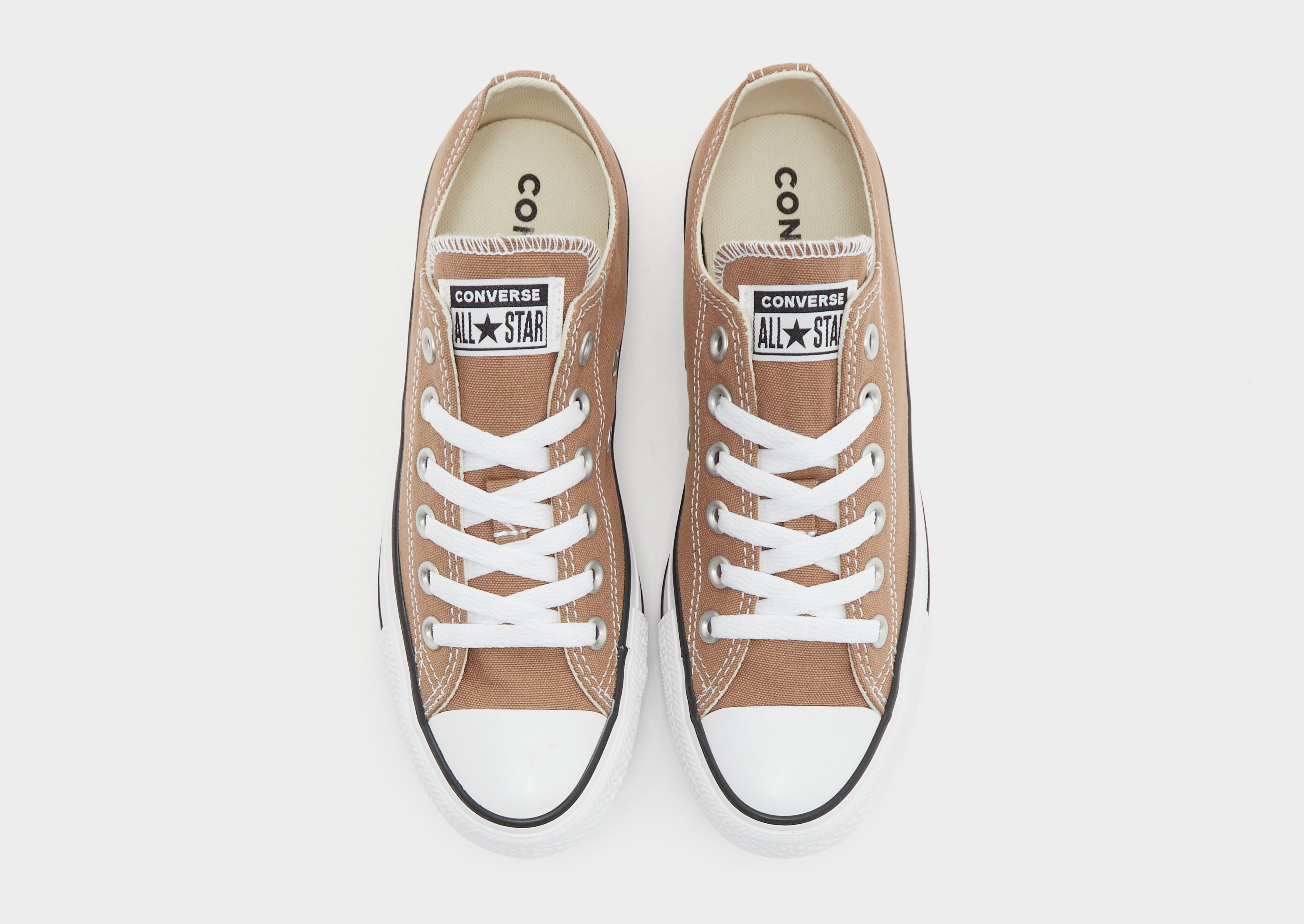 Converse Chuck Taylor All Star Ox Femme