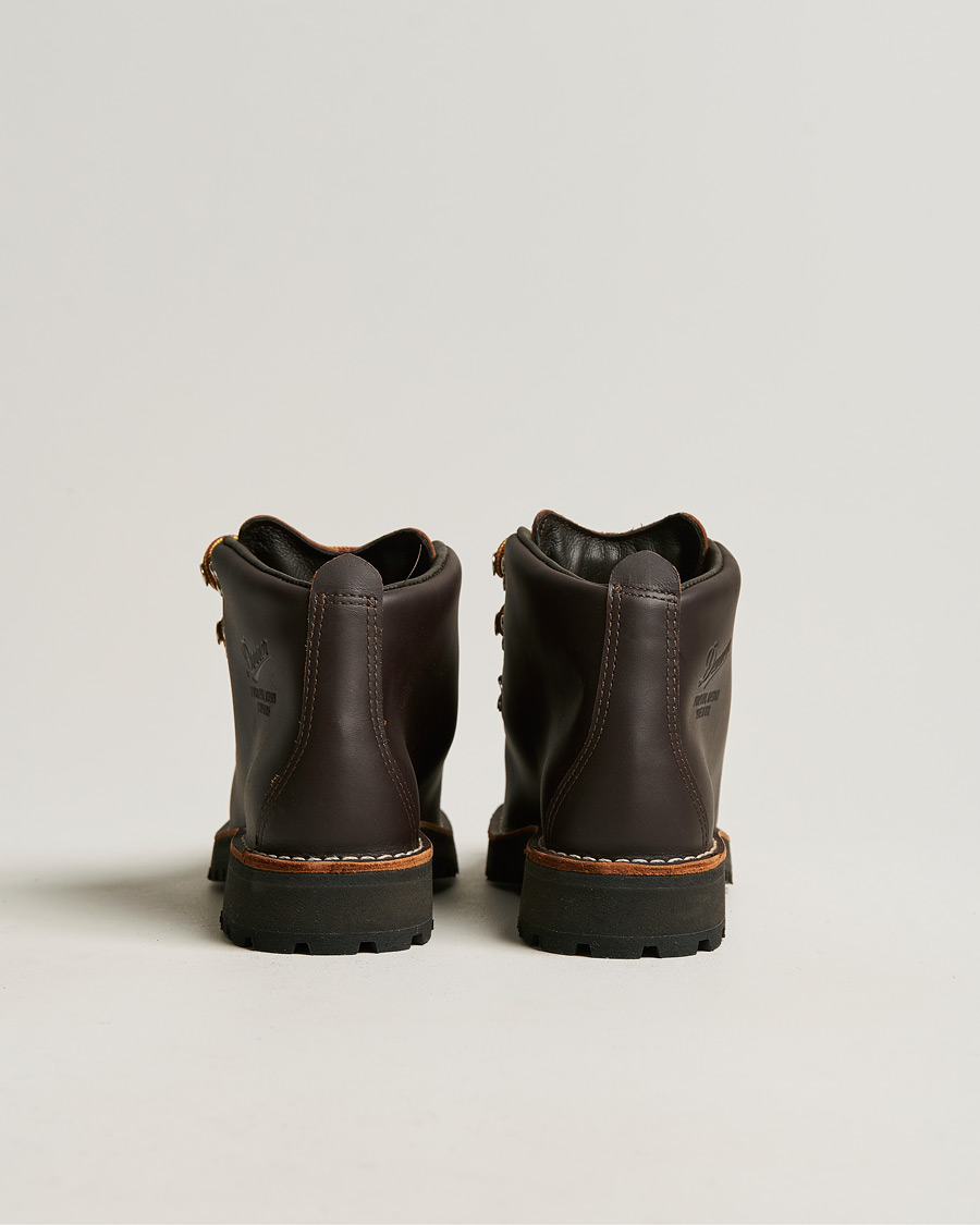 Danner Mountain Light GORE-TEX Boot Brown