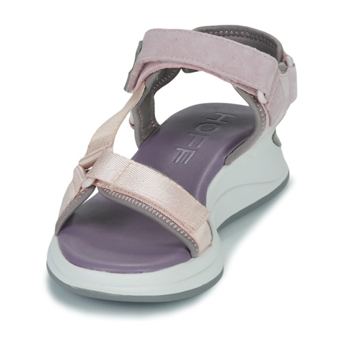 HOFF - BARBADOS Rosa