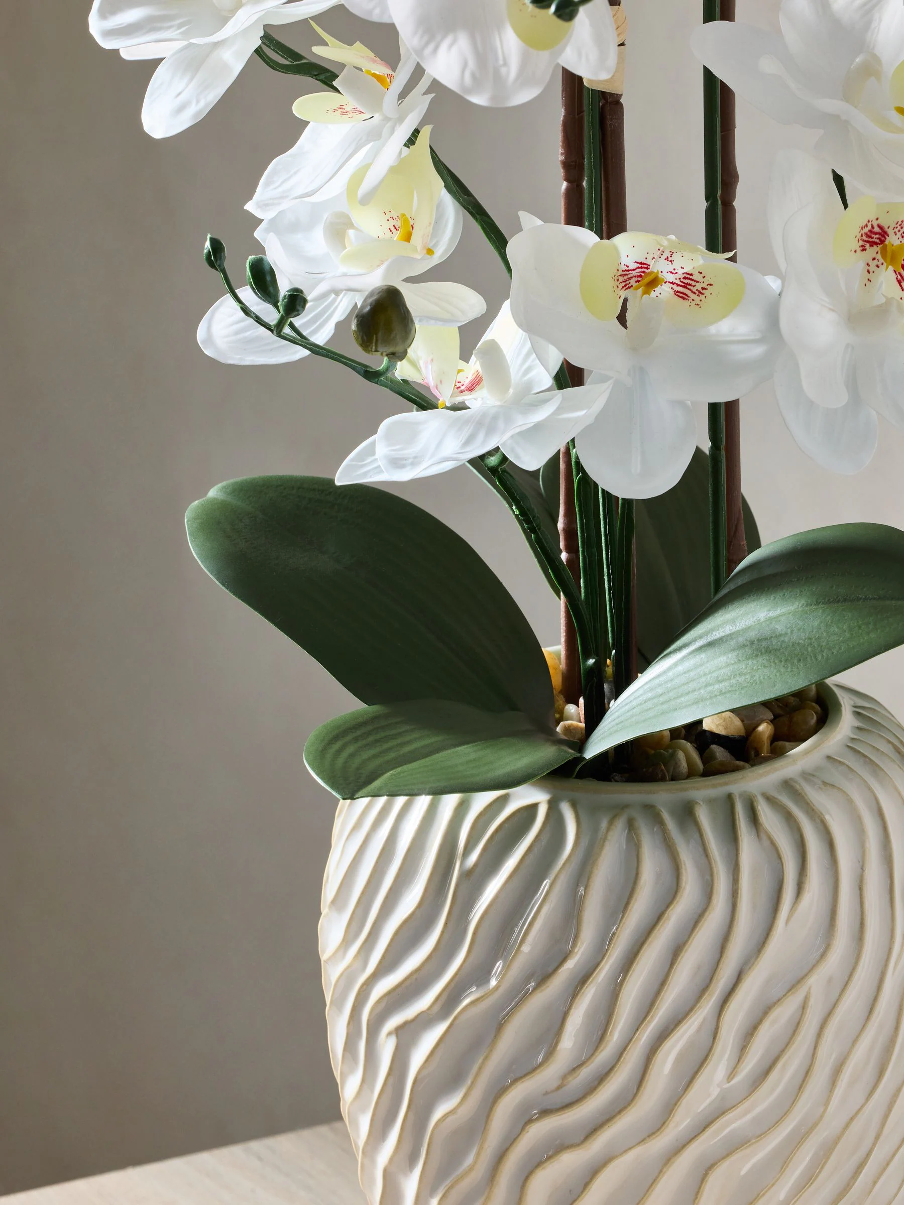 Artificial Orchid in Fairford Vase