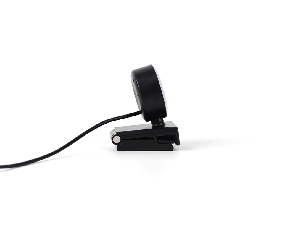 WEBCAM QILIVE 600095908 PRETO FHD LED Q.4401