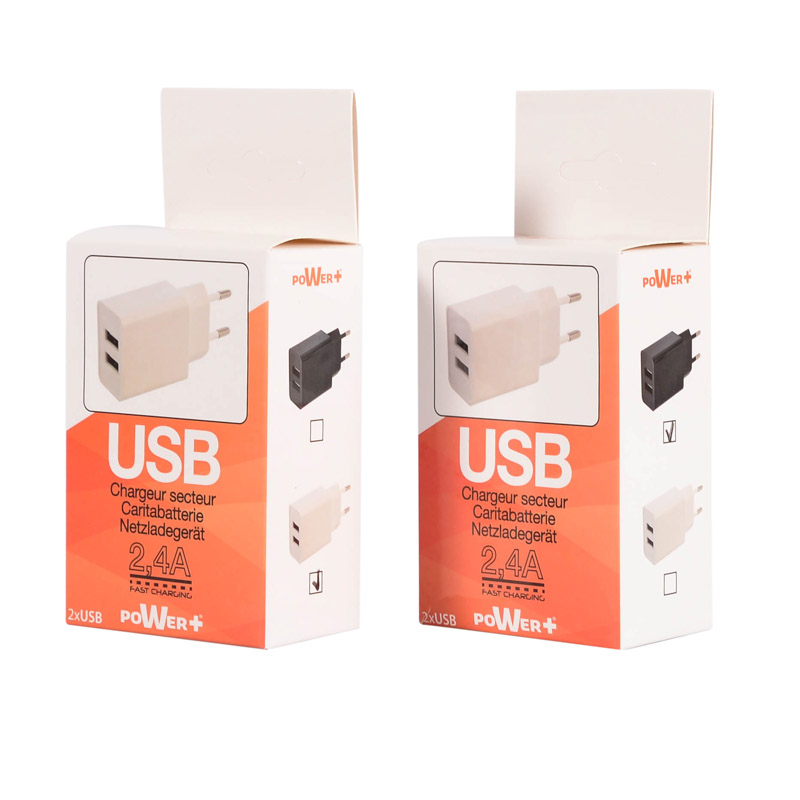 Chargeur secteur 2 USB