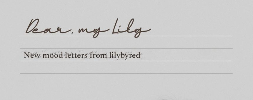 lilybyred - Stemmingstoetsenbord - 3 typen