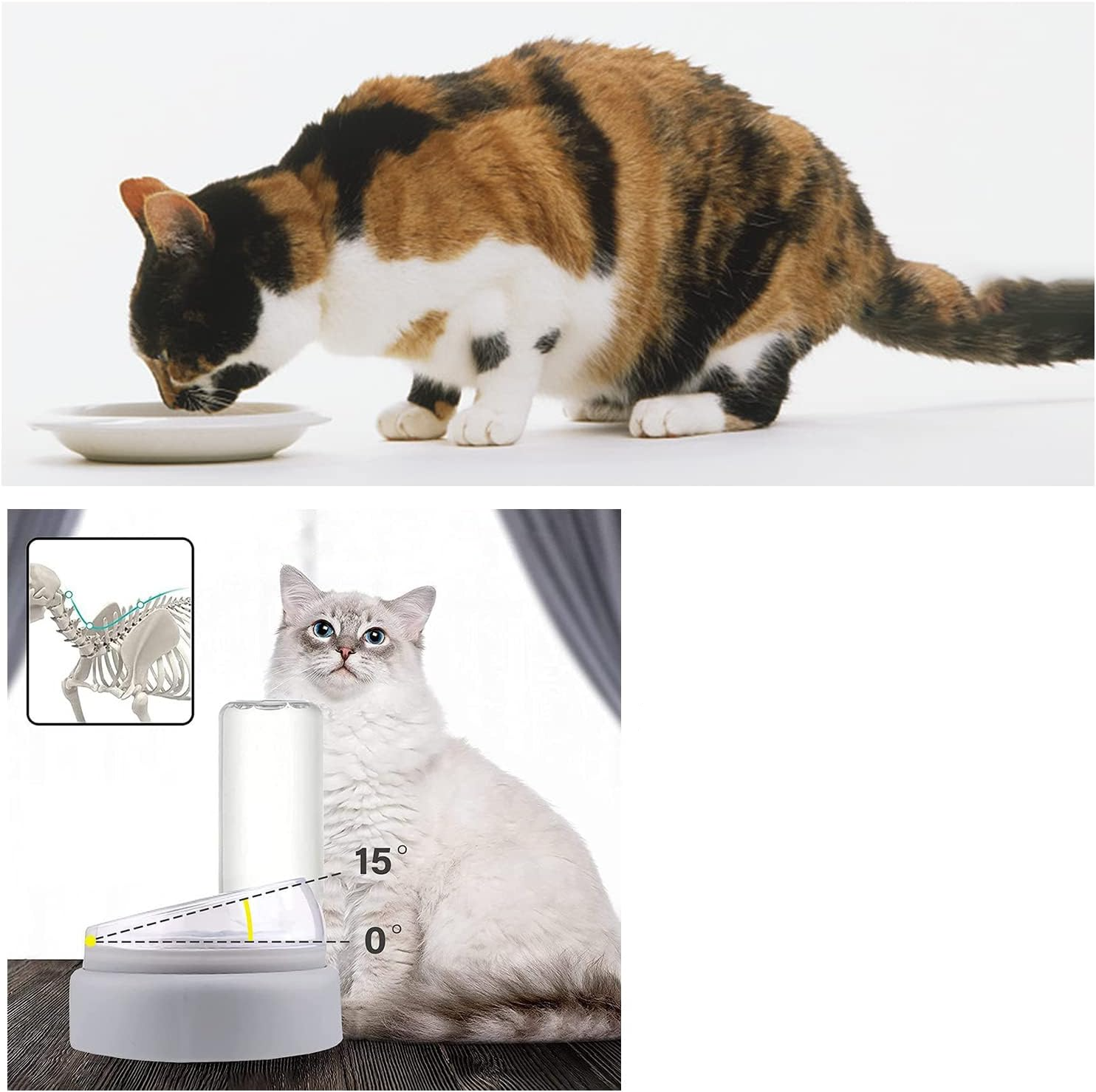 Haustier Futterstation mit 15° Grad Neigung Katzen Fress Napf   Wasser Spender Schale - Grau