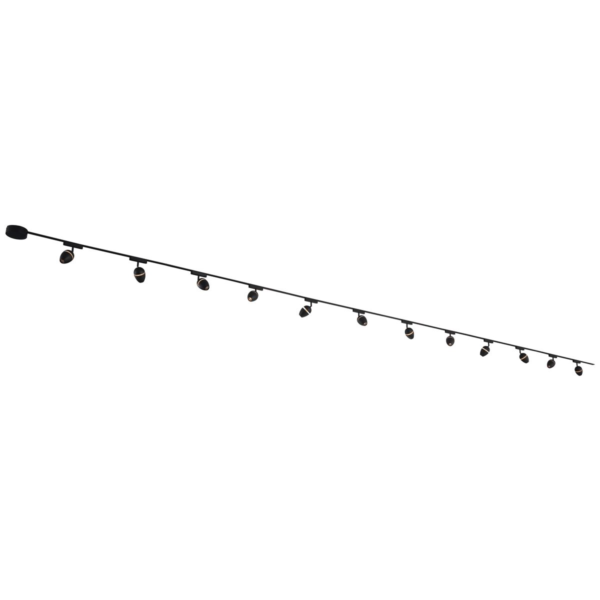 Modern railsysteem met 12 spots zwart 1-fase - Magnetic Eggy