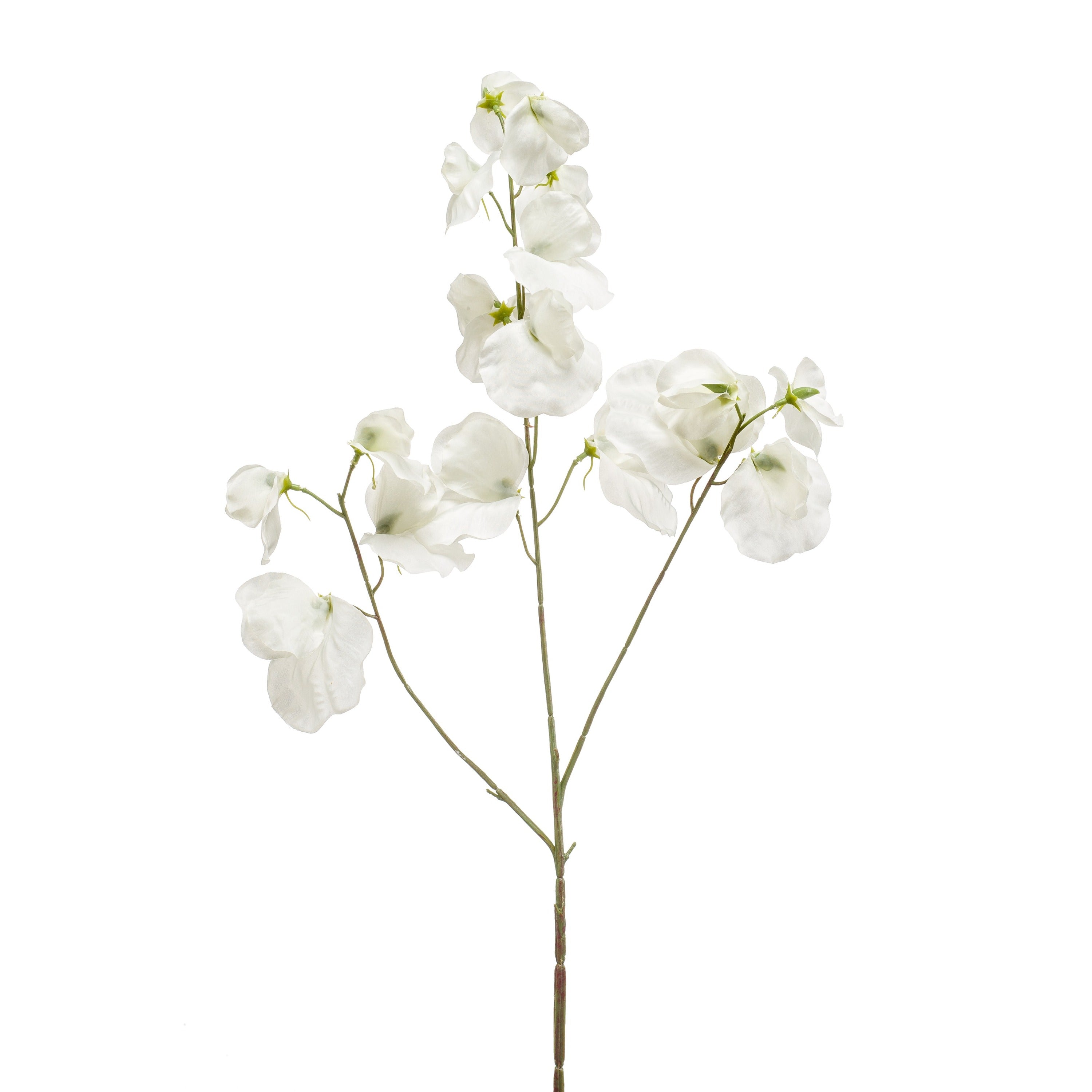 Fleurdirect Kunstbloem Lathyrus - Creme|Wit -  - 0x75x0cm (BxHxD)