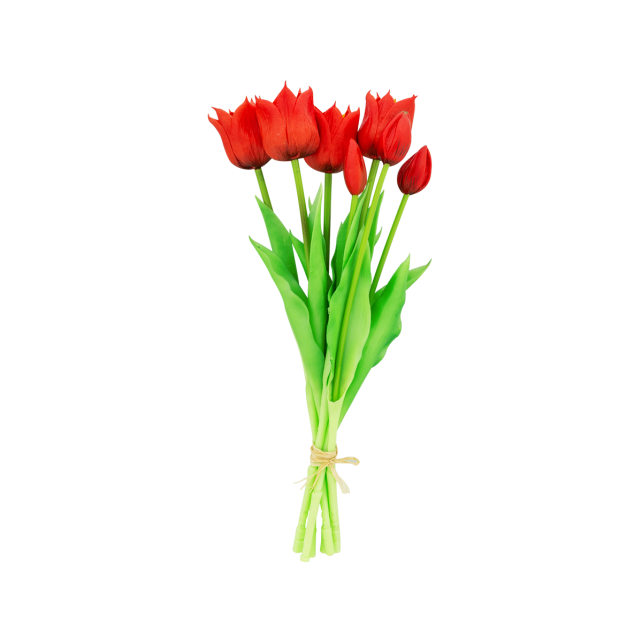 Set de 7 tulipes ouvertes - Tulipes