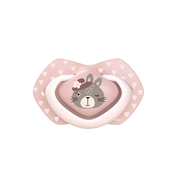 CANPOL BABIES silicone symmetrical soothers BONJOUR PARIS, 6-18m, 2 pcs,  22/648_pin