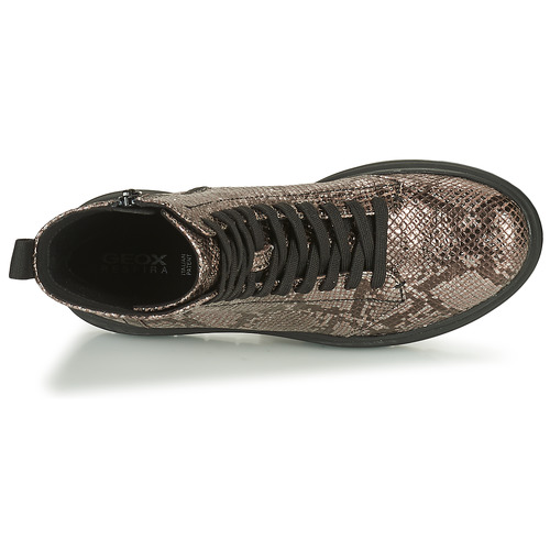 Geox - PHAOLAE - Marron