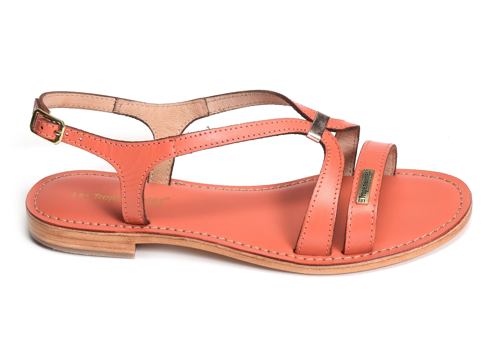 Hamoon corail