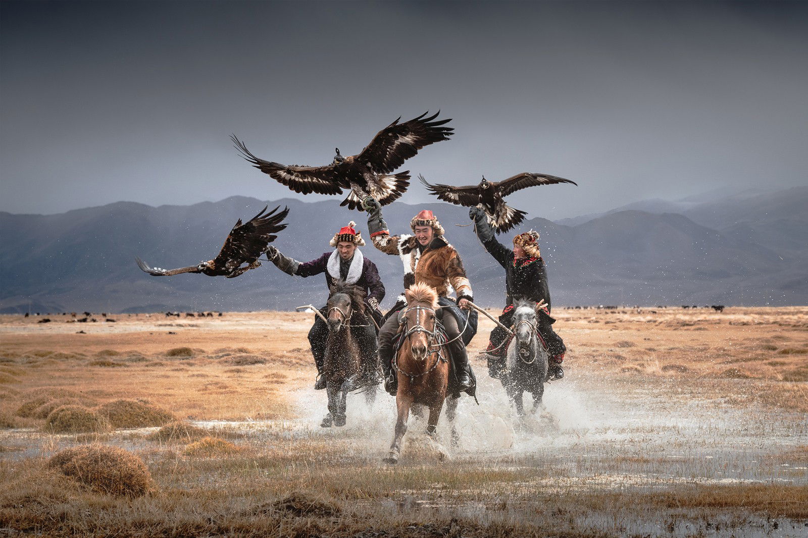 Mongolia Eagle Hunters by Daniel Kordan - Limited Edition. Edition of: 150. Signed.