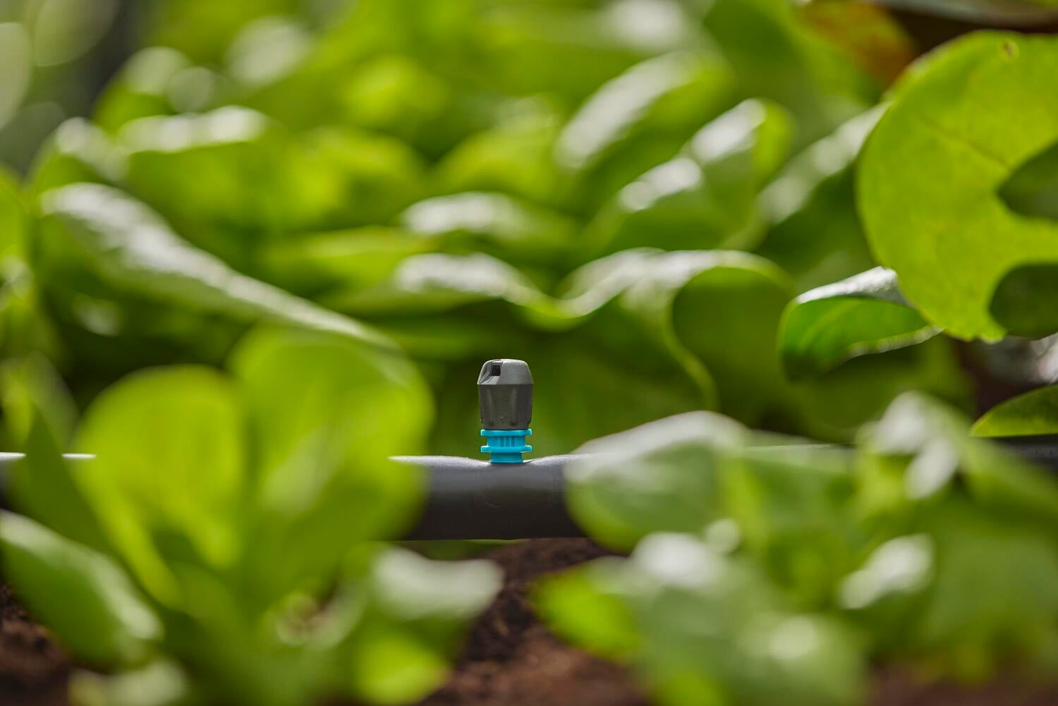 Gardena Micro Drip systeem eindsproeikop 5 stuks