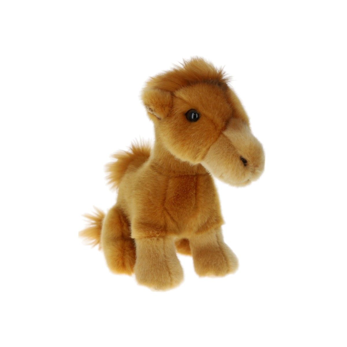 Peluche dromadaire - Sahara Mercredi et Patati