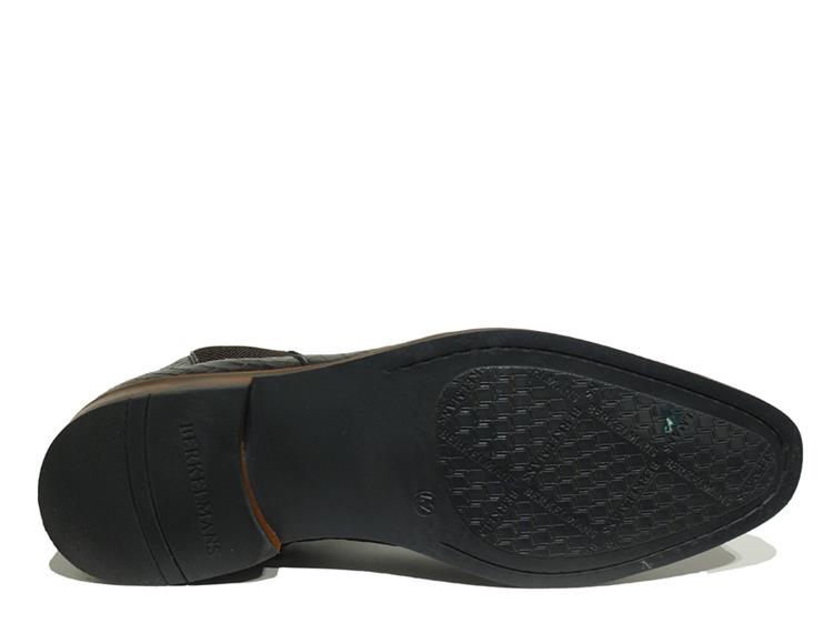 Berkelmans Durban Brown Lizard