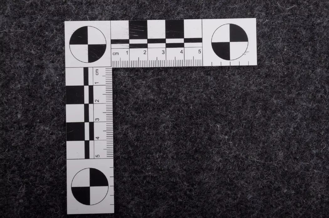 Handtuft-Teppich Groove 65 x 135 cm
