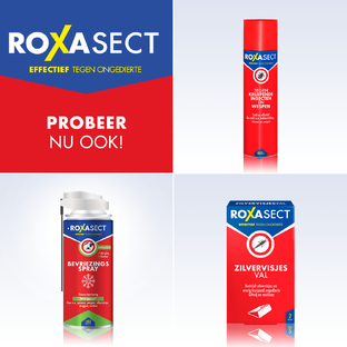 Roxasect Spuitbus Tegen Vlooien 300ML