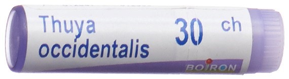 Boiron Thuya occidentalis Glob 30 CH 1 Dos