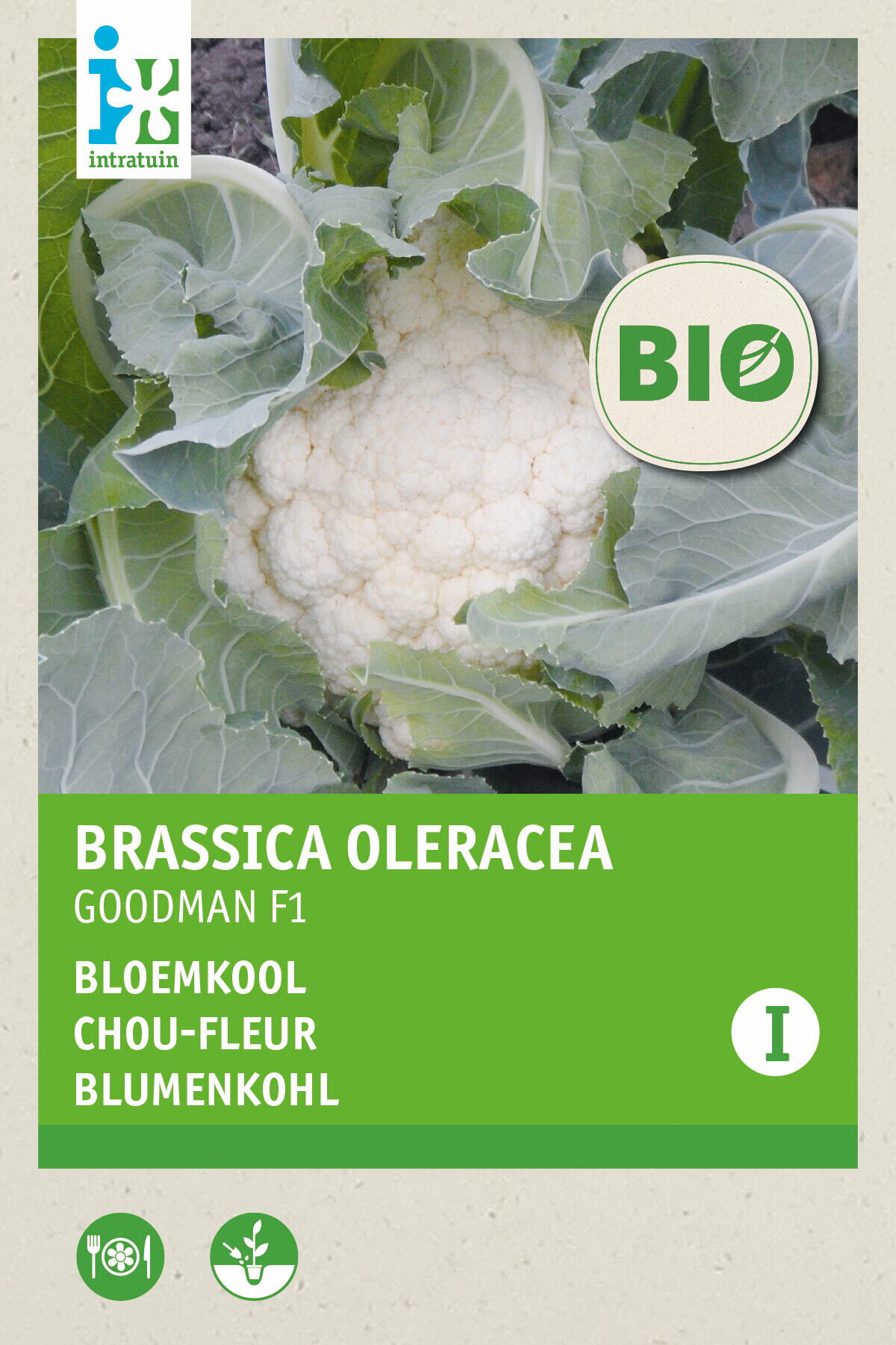 Intratuin biologische groentezaad Bloemkool (Brassica oleracea 'Goodman F1')