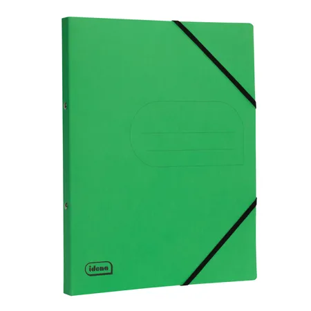 Idena Eco Ringbuch A4 2 Ringe hellgrün FSC-Mix