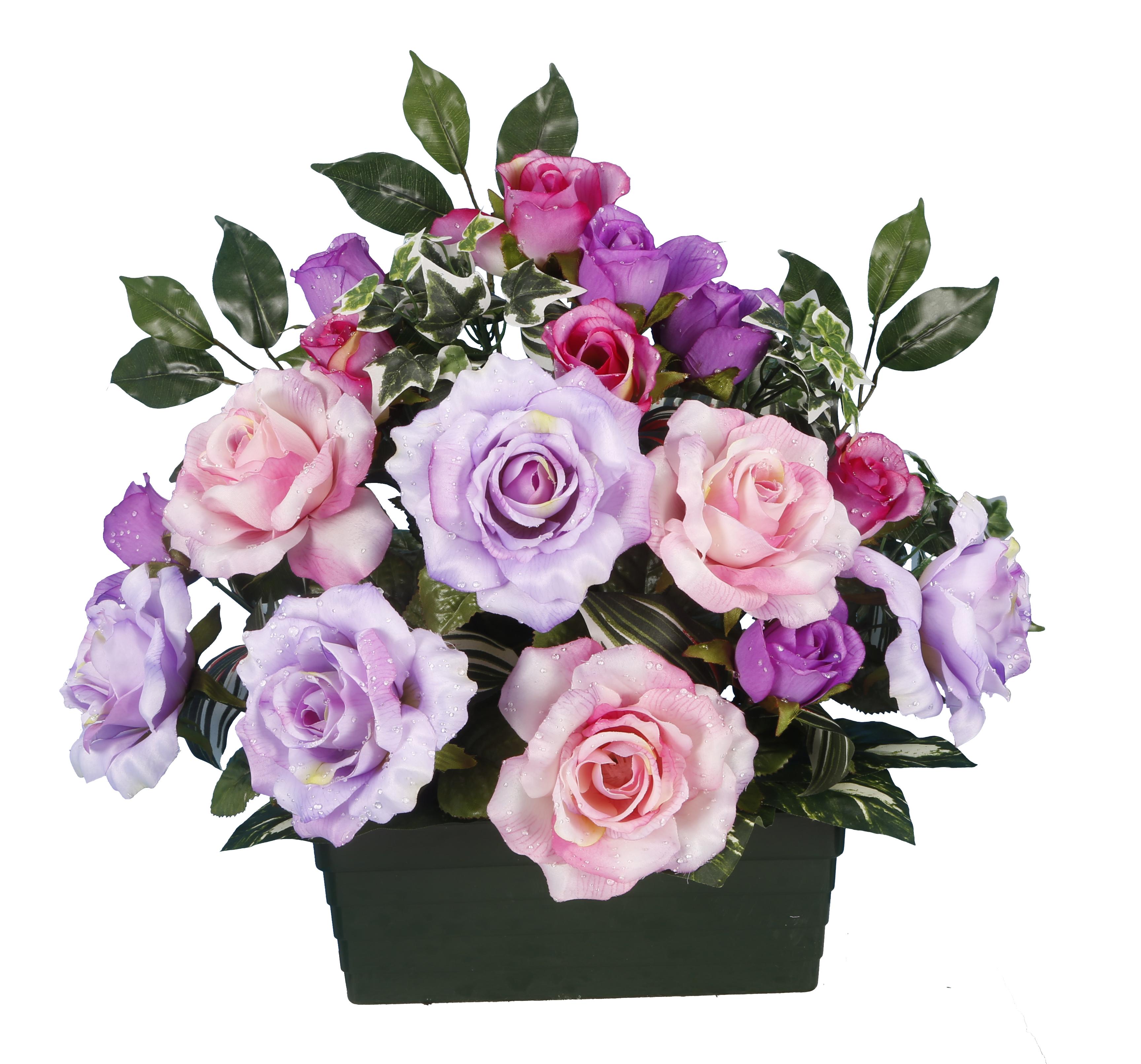 COUPE ROSE BOUTON