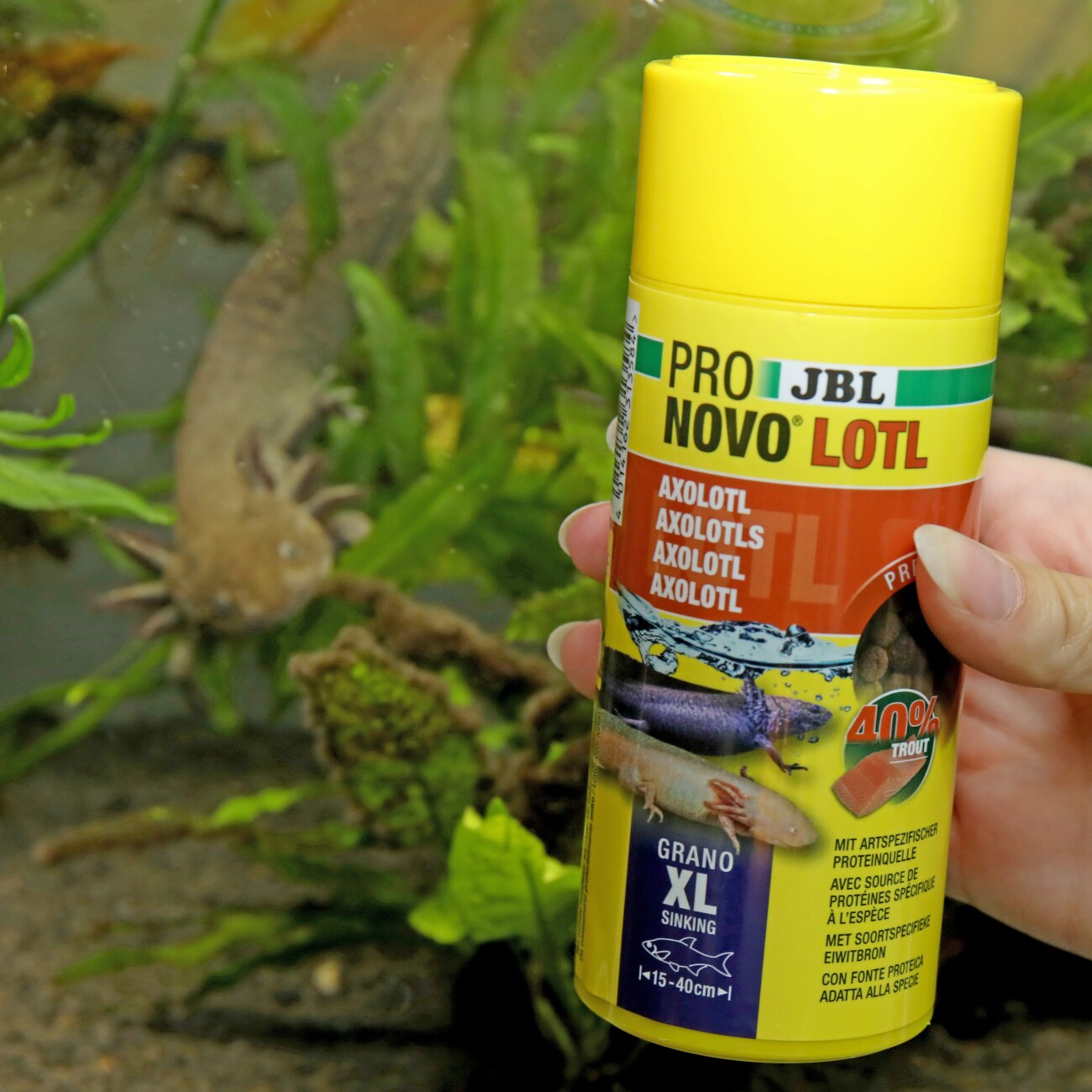 JBL PRONOVO Lotl Grano XL 250ml