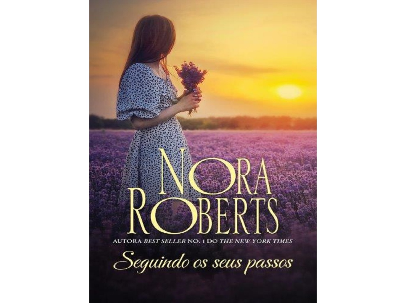 LIVRO SEGUINDO OS SEUS PASSOS DE NORA ROBERTS