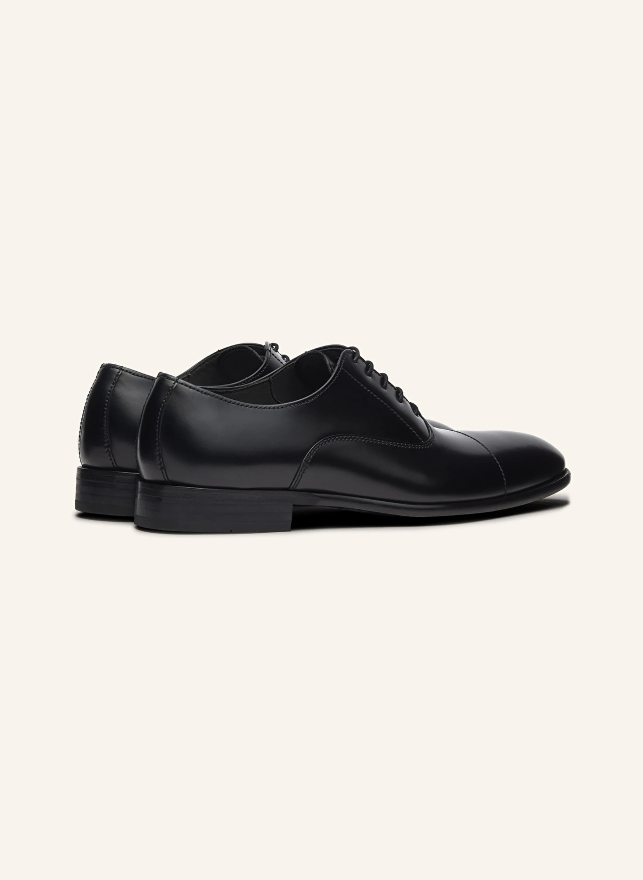 LOTTUSSE Oxford REGENT