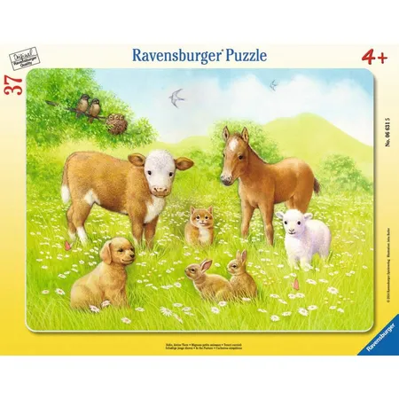 Ravensburger Rahmenpuzzle Süße, kleine Tiere, 37 Teile