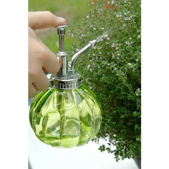 Humidificateur de plantes Ø 9 x H. 16 cm