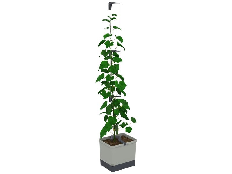 Gusta Garden CURT CUCUMBER Gurkentopf Grau Pflanzkübel mit Wassertank und Rankhilfe