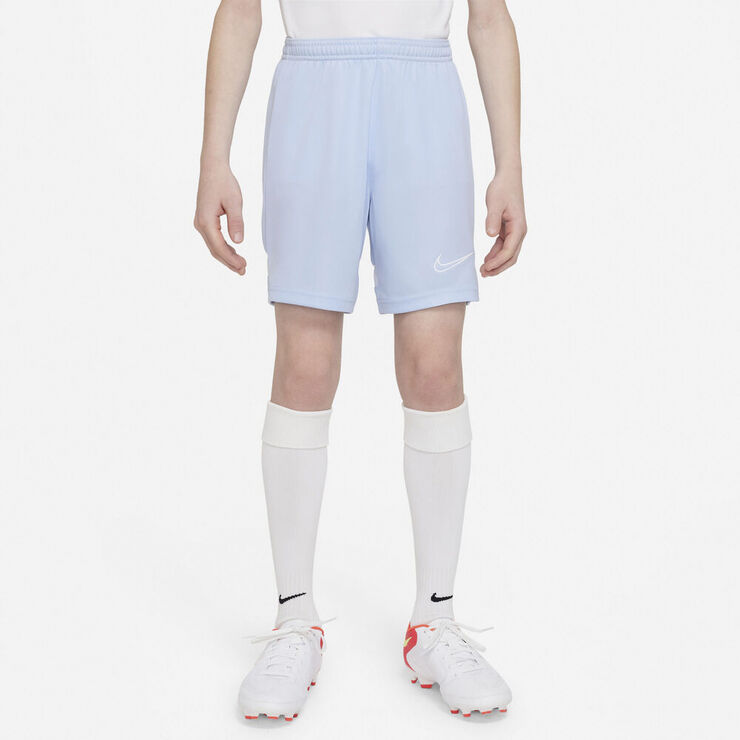 Nike Dri-FIT Academy træningsshorts Blå