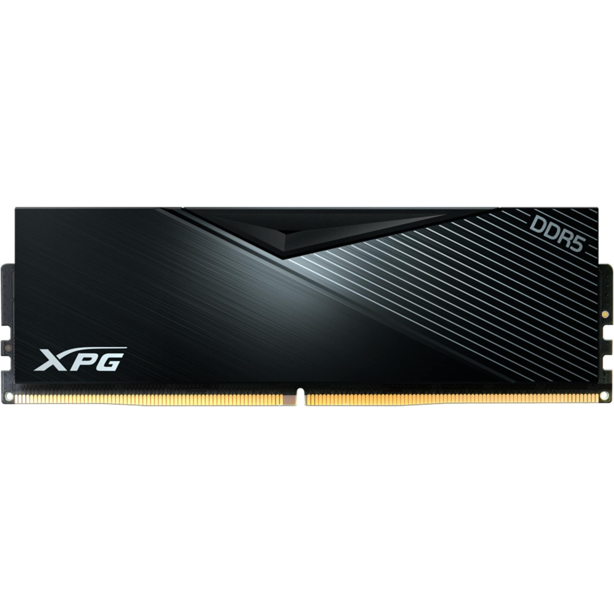 ADATA Arbeitsspeicher DIMM 32 GB DDR5-5600 (1x 32 GB)