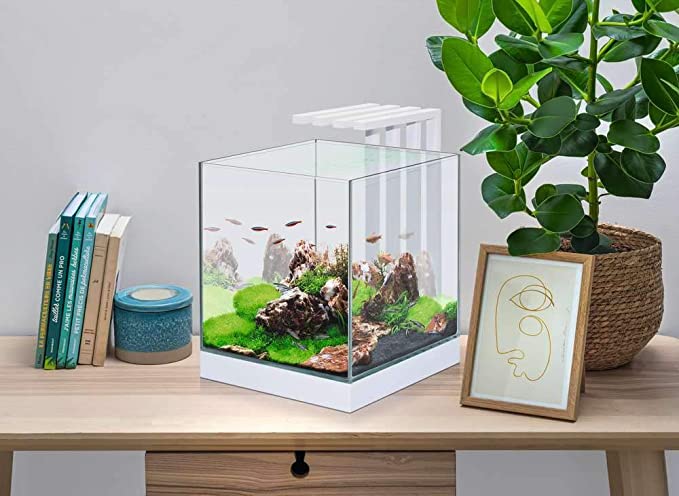 Aquário Nexus Pure Cube 25 - Conjunto completo de 22 litros com LED, filtro interno e consumíveis.