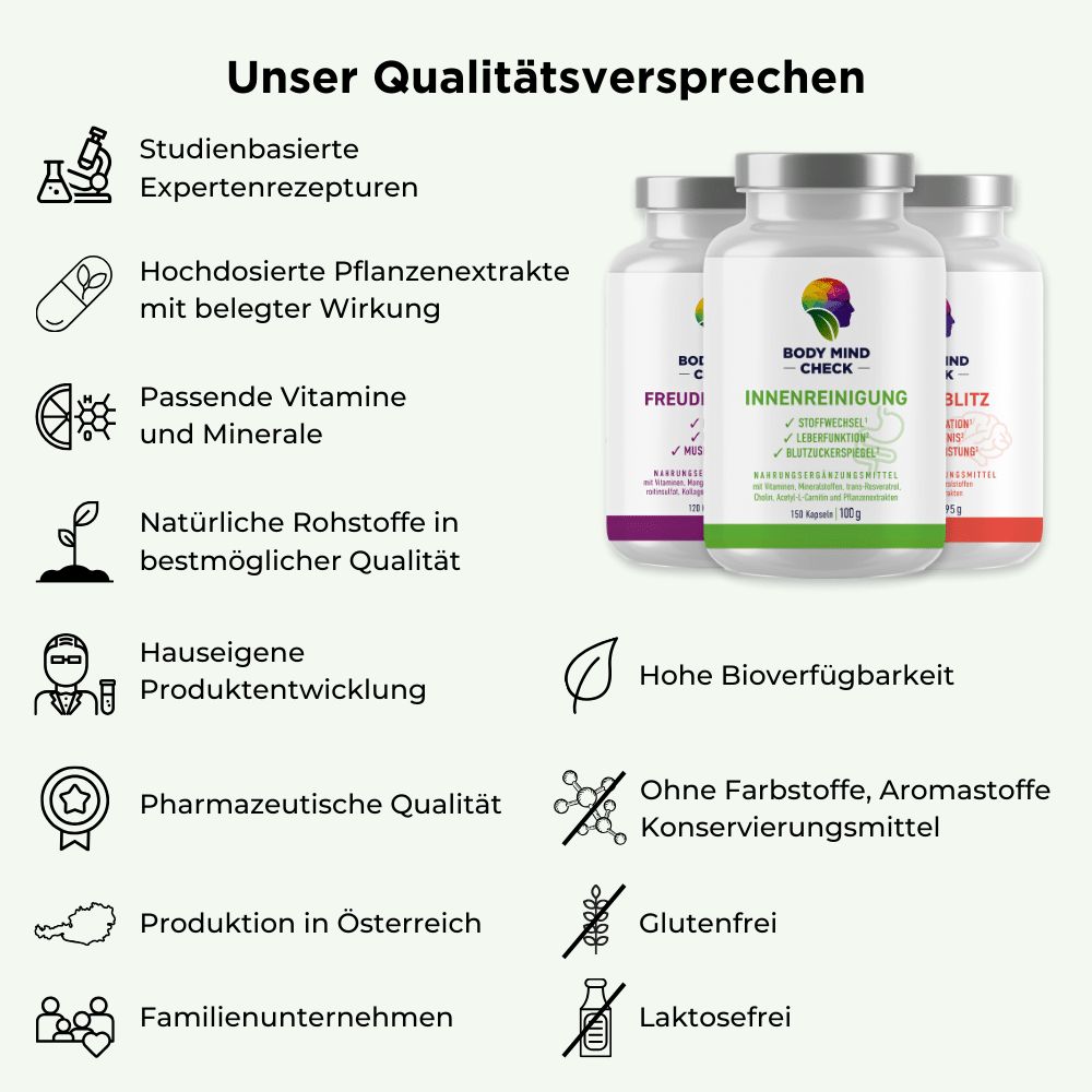 BodyMindCheck INNENREINIGUNG