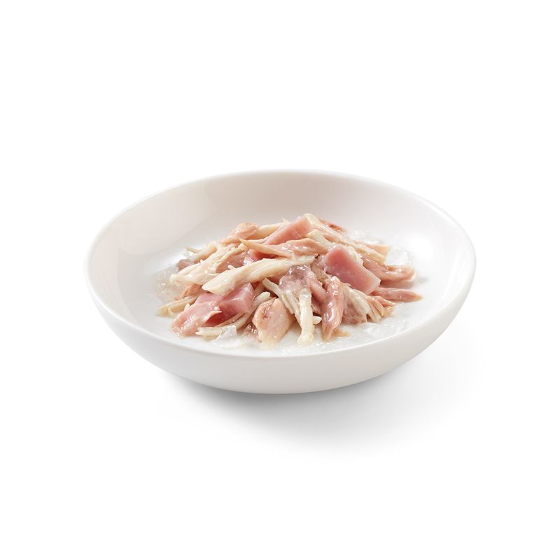 Schesir en gelée ou en sauce 6 x 85 g