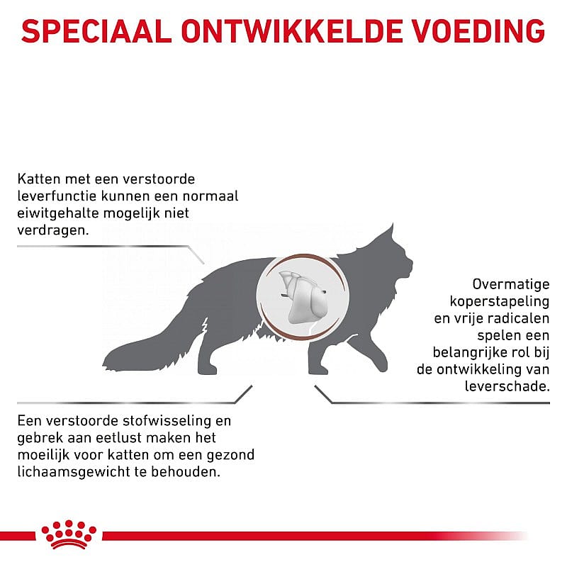 Royal Canin Hepatic Kat Kattenvoer voor ondersteuning van de leverfunctie van volwassen katten