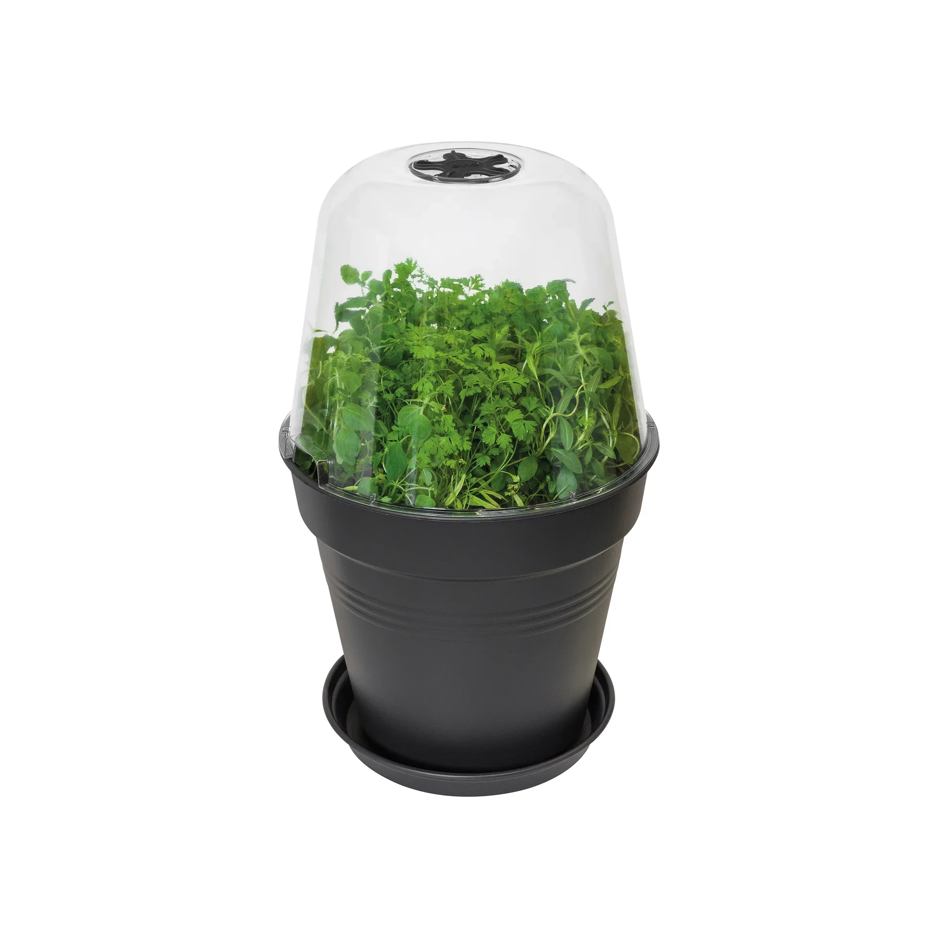 Elho Kultiveringslokk Green Basics, rund Ø17 cm