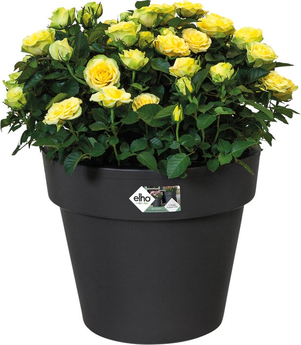 Elho bloempot Green Basics zwart D 47 H 40 cm