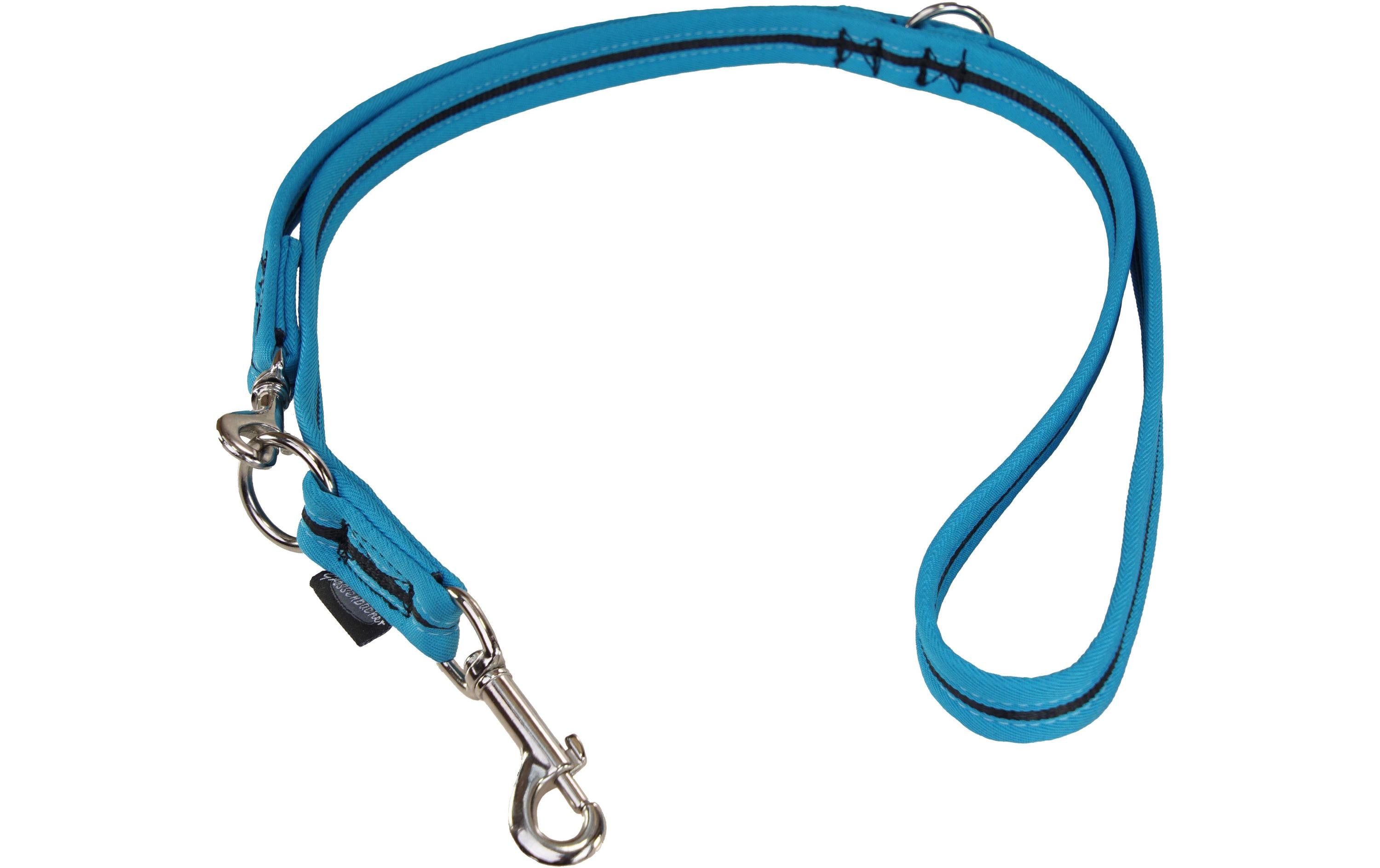 Hundeleine 180 cm, 15 mm, Schwarz/TürkisFührleine für den täglichen Gebrauch