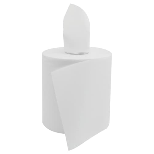 Essuyage dévidage central blanc sans mandrin 450 formats 18,1 x 25 cm Paredes Renovelar