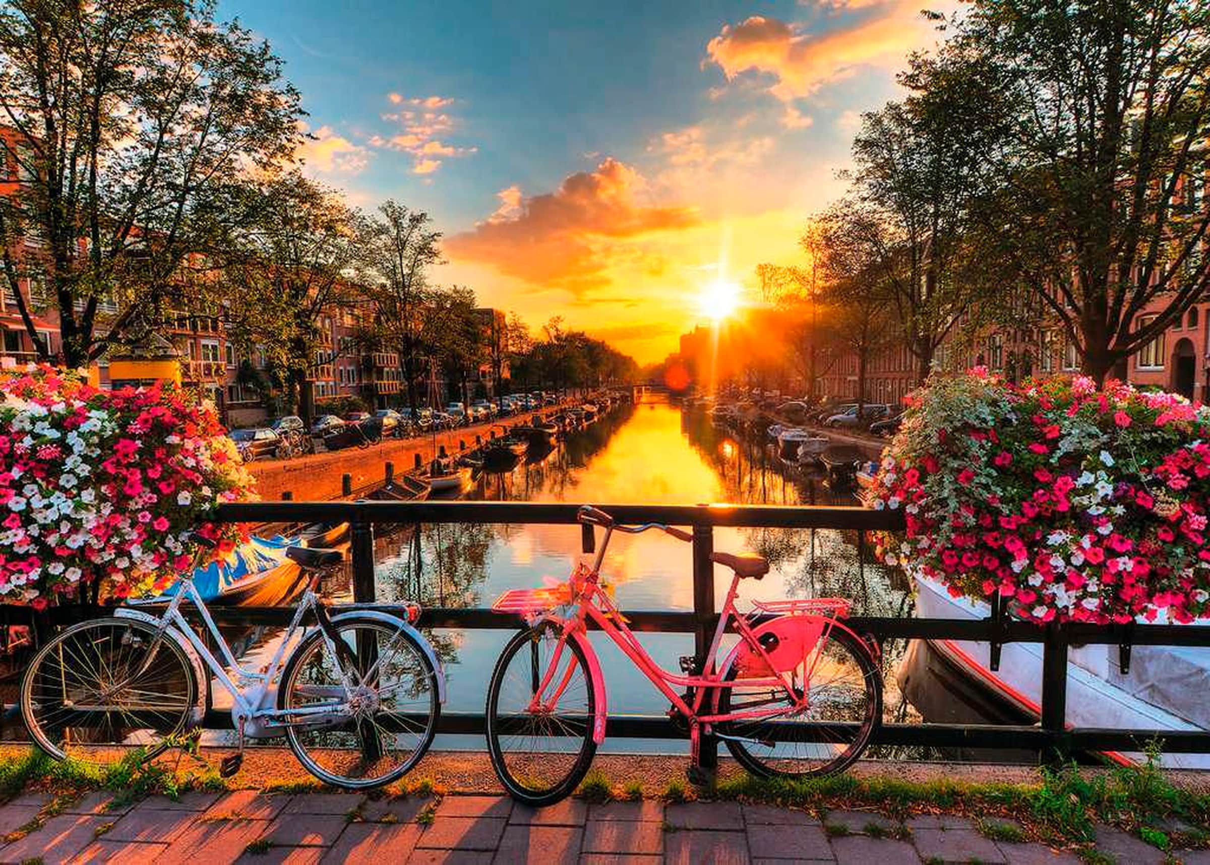 Ravensburger Fahrräder in Amsterdam