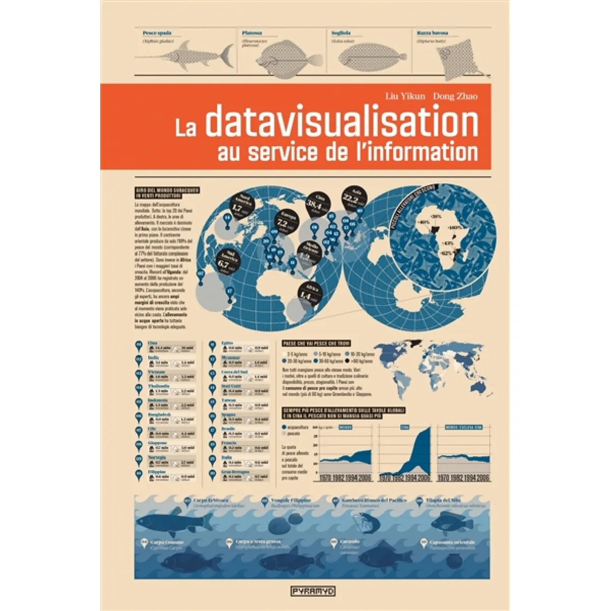 La datavisualisation au service de l'information · Occasion