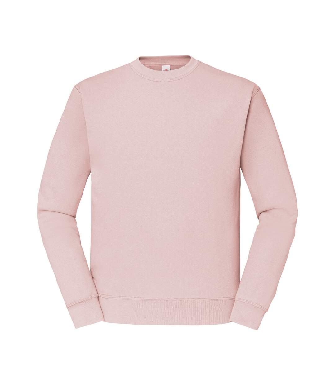 Fruit of the Loom - Sweat CLASSIC - Homme (Gris) - UTRW7886
