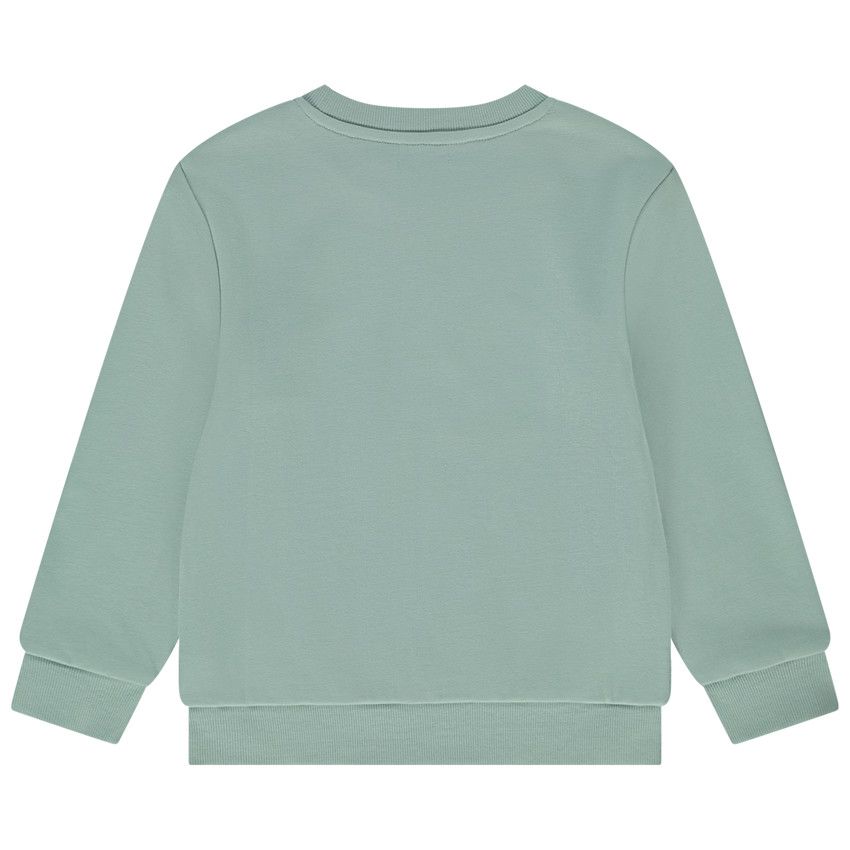 Sweat en molleton uni print fantaisie pour garçon - Vert