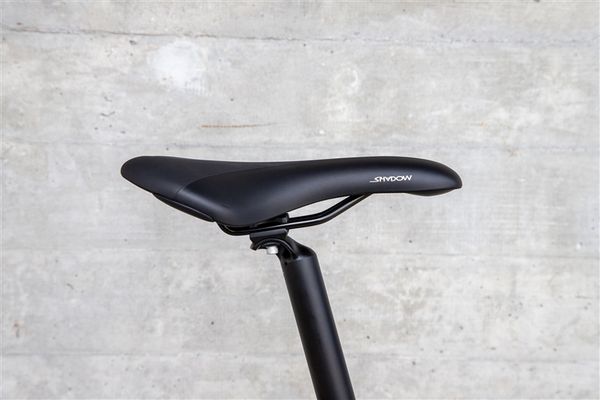 DAILY QUEST Pinion City- und Alltagsvelo  grün  48 CM