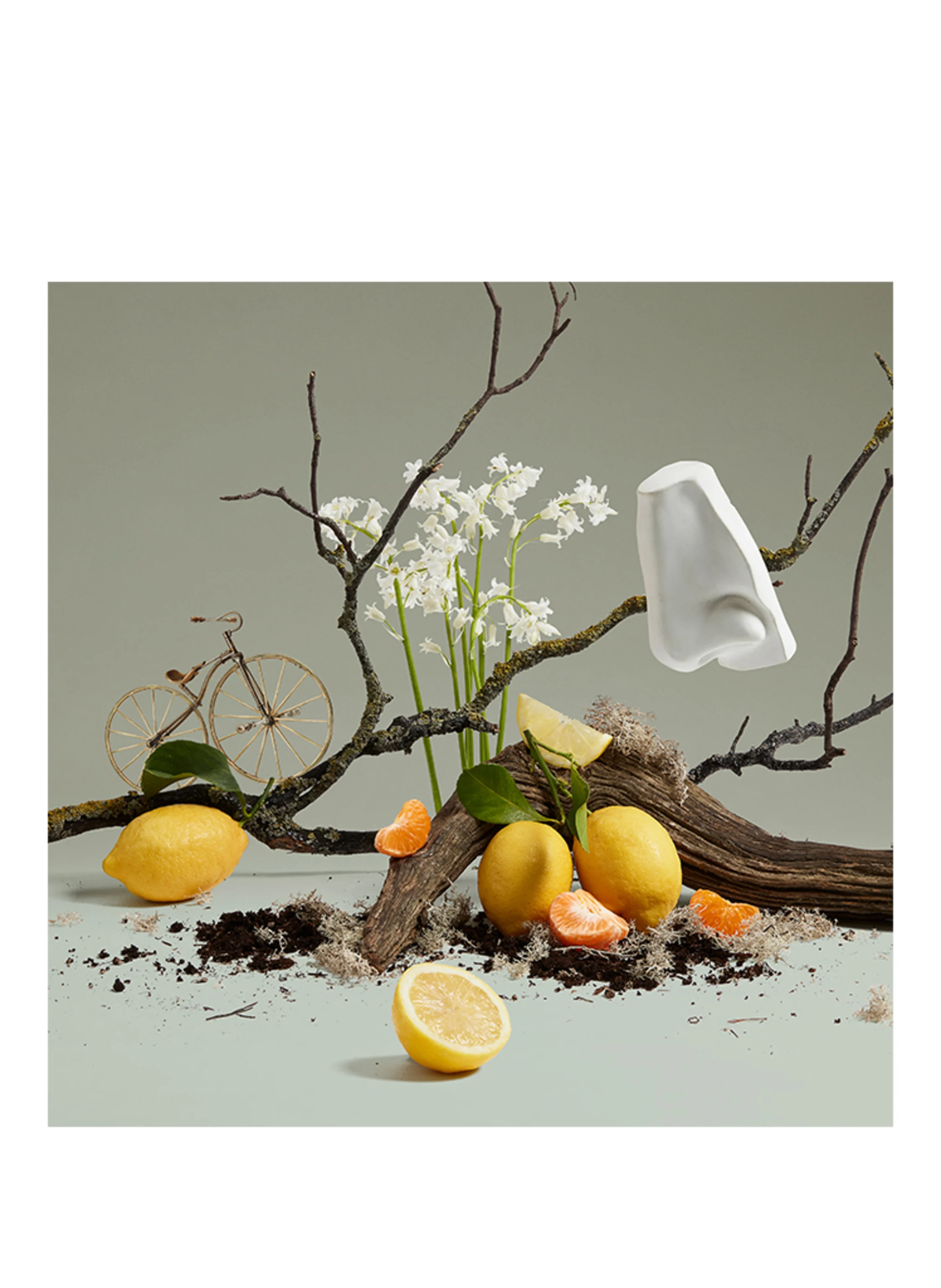 PENHALIGON'S QUERCUS