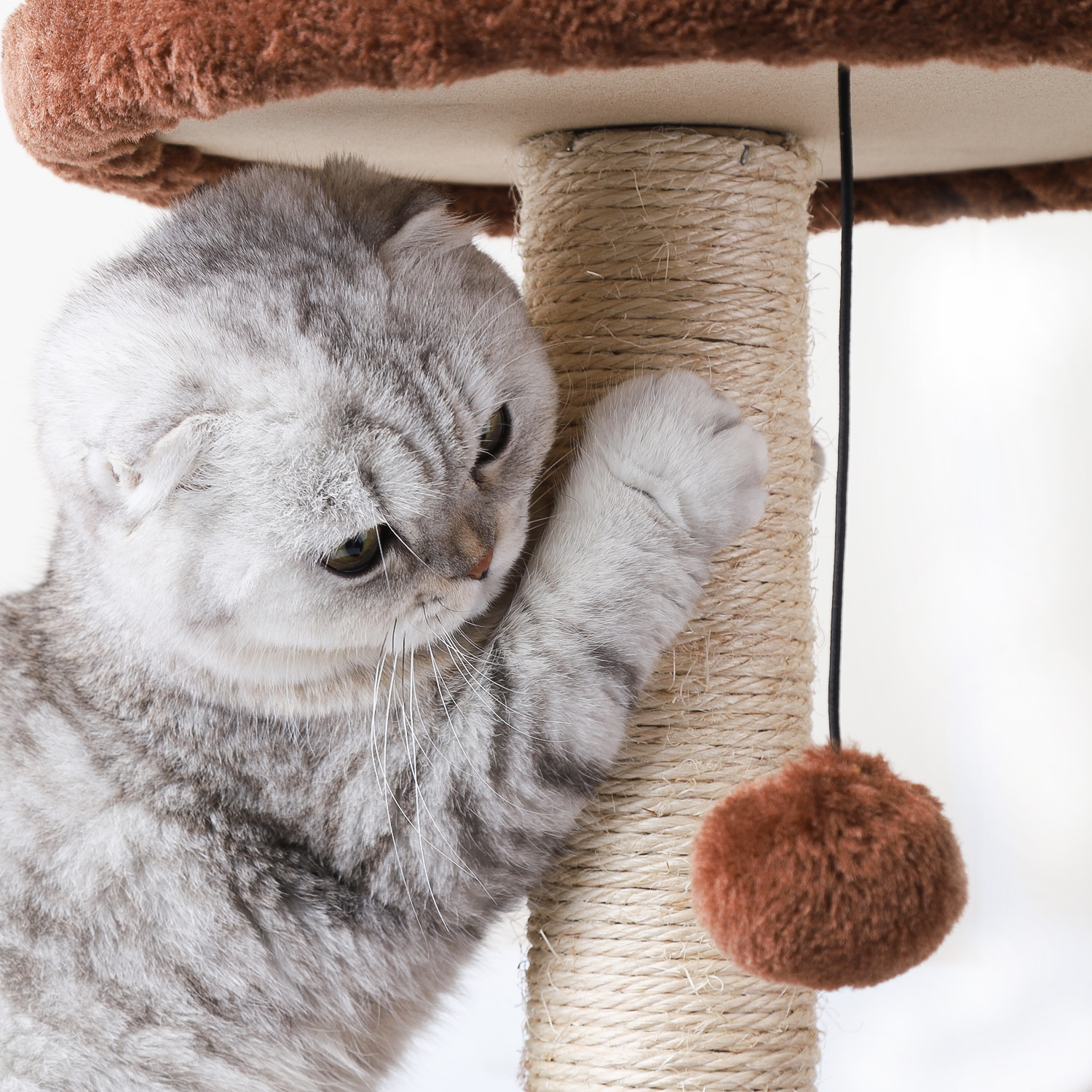 Nobleza - Arranhador para gatos com duas plataformas, caverna e brinquedos pendurados. Marrom, 60 cm.